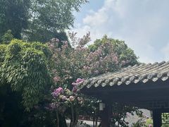 -龙潭水乡
