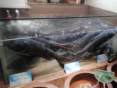 -上名堂·鱼头好吃(体育场路店)