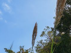 -广西民族博物馆