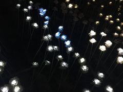 -横店影视城梦幻谷园区
