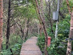 -白草畔自然风景区