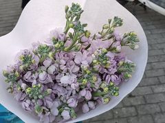-上海嘉宁·心理咨询中心