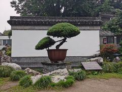 -水绘园