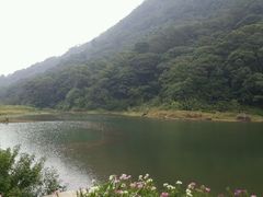 -广州市石门国家森林公园