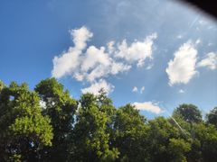 -小海豚•老字号海鲜餐厅(天涯店)