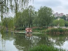 -马家湾湿地公园