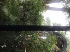 -幸福里时光餐吧
