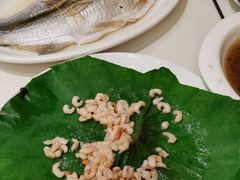 清蒸白鱼-得月楼·省级非遗·传统苏帮菜(观前店)
