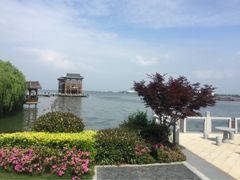 -同里湖度假村(二期店)