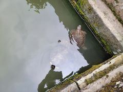 -宁波市保国寺古建筑博物馆