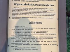 -映月湖公园