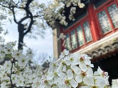 -潭柘寺景区