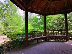 -塘沽森林公园