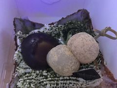 -樱花糕坊(凯德广场店)