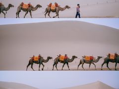 -青海湖国家重点风景名胜区