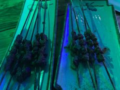-网红丛林音乐烤吧