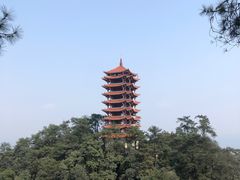 -缙云山景区