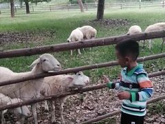 -秀丽东方