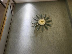 -雅曼妮spa美容养生