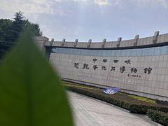 -中国西峡恐龙遗迹园