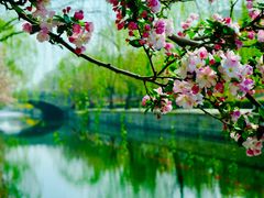 -海棠花溪(元大都城垣遗址公园)