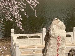-桃花堤公园