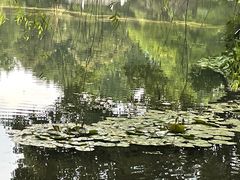 -杭州香格里拉·香宫中餐厅