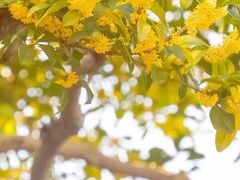 -儒之堂·足道养生SPA影院式(万融城店)