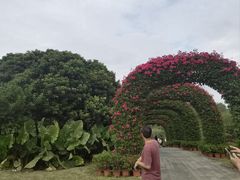 -东莞植物园