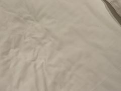 -上海静安香格里拉大酒店