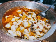 水煮乌江鱼-雲蜀龙阁·金牌水煮鱼(方庄店)