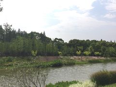-上海长兴岛郊野公园