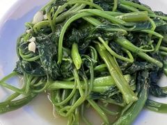 -胖哥家藏菜(护国路店)