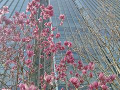 -同济大学(嘉定校区)