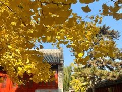 -承恩寺