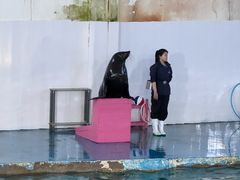 -北戴河圣蓝海洋公园