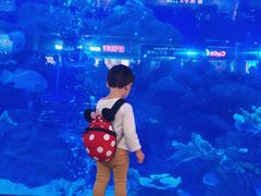 -成都浩海立方海洋公园