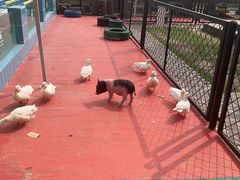 -太阳岛度假酒店