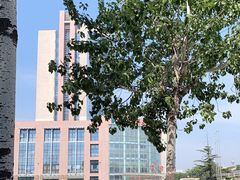 -天津医科大学第二医院