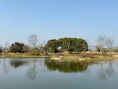 -良渚古城遗址公园