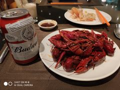 -上海龙之梦万丽酒店