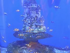 -海合安武汉极地海洋公园