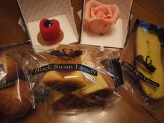 -BLACKSWAN黑天鹅(环球店)