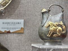 -烟台自然博物馆
