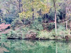 -岳麓山风景名胜区