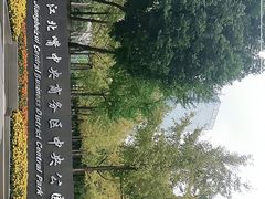 -重庆市江北嘴中央商务区中央公园