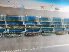 -蓝珊甄选海鲜自助·火锅大排档(近阿那亚店)