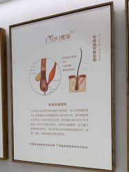 -熙朵美学植发连锁