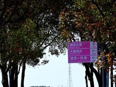 -太阳岛度假酒店