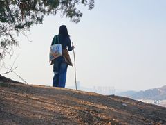 -青龙山国家森林公园